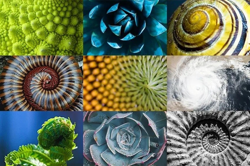Taking Ownership: The Fractal Mirror